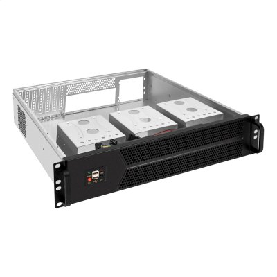 ExeGate Pro 2U450-06 без БП EX297728RUS