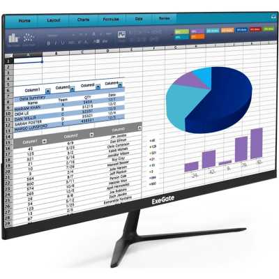 ExeGate SmartView EP2400CA