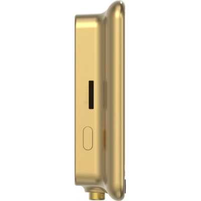 Ezviz DP2C Gold CS-DP2C-R100-6E2WPFB-GD