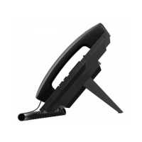 Fanvil X3S Pro Black