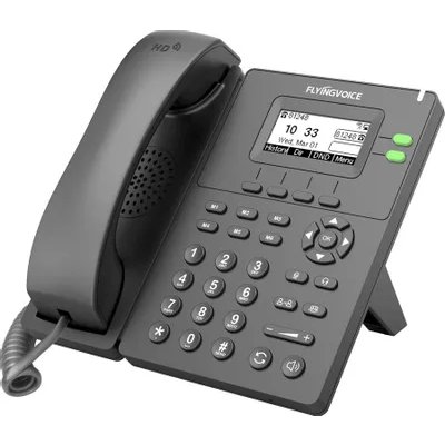 Flyingvoice P20G