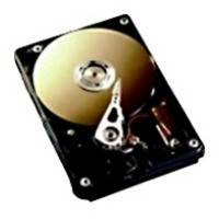 жесткий диск Fujitsu S26361-F3817-L100