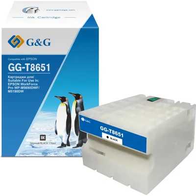 картридж G&G GG-C13T865140