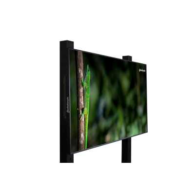 профессиональный дисплей Geckotouch 55DCR