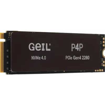 GeIL P4P 1Tb P4PDC23C1TBA
