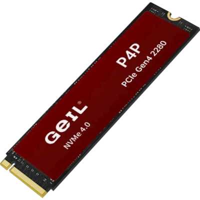 GeIL P4P 2Tb P4PWK23C2TBA