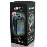Ginzzu GM-221