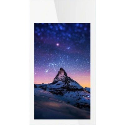 специальный дисплей GoodView D55H1