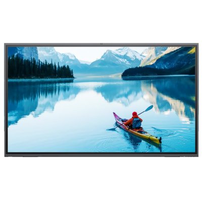 профессиональный дисплей GoodView GM65H1