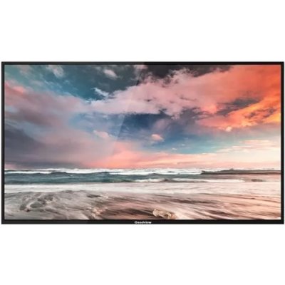 профессиональный дисплей GoodView M43SAH