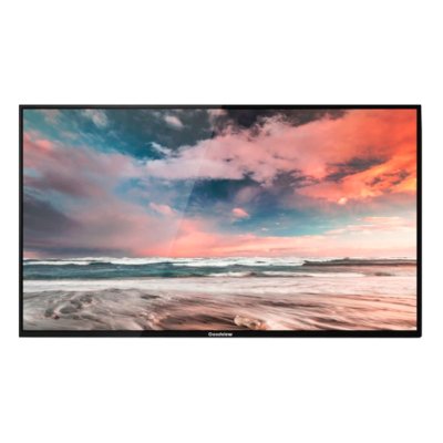 профессиональный дисплей GoodView M55SAH