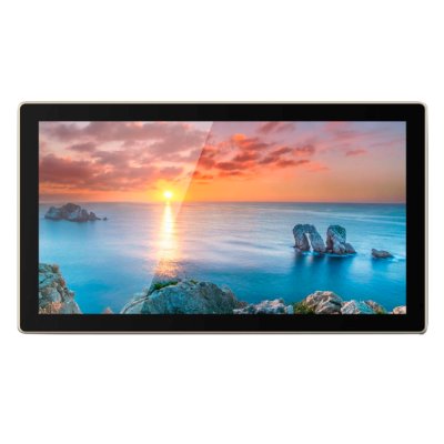 профессиональный дисплей GoodView TC22H1