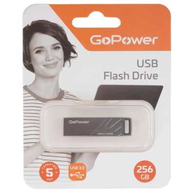 флешка GoPower 256GB 00-00027356