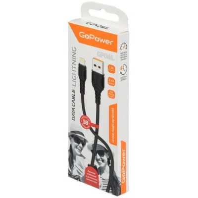 GoPower GP06L 00-00022784