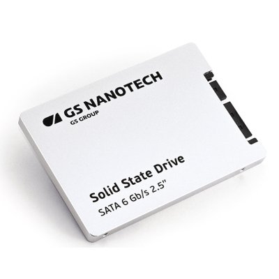 SSD диск GS Nanotech 256Gb GSPTA256R16STF