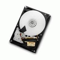 жесткий диск Hitachi 0F12465