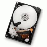 жесткий диск Hitachi 0F11000