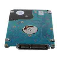 жесткий диск HGST HESH10S3120-00301
