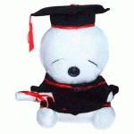 веб-камера HighPaq Заяц-выпускник 300kpix T015 USB