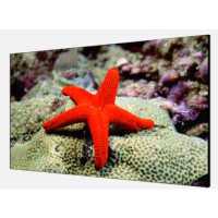 ЖК панель HikVision DS-D2046LU-Y