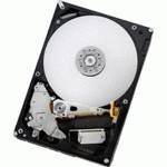 жесткий диск Hitachi HDS721010CLA332