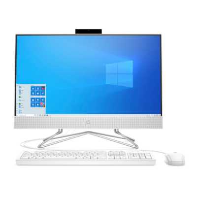 

HP All-in-One 22-df1051ur