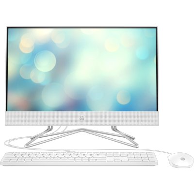 

HP All-in-One 22-df1072ur