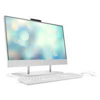 HP All-in-One 24-dp1004ur