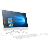 HP All-in-One 22-c1008ur