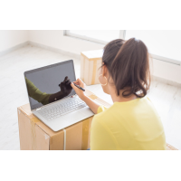 ноутбук HP Pavilion x360 14-dh0000ur
