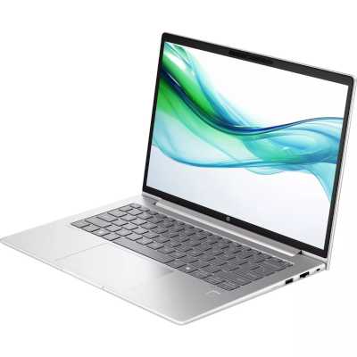 ноутбук HP ProBook 445 G11 8Z9P6AV