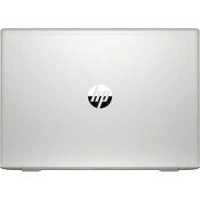 ноутбук HP ProBook 455 G7 1F3M6EA-wpro