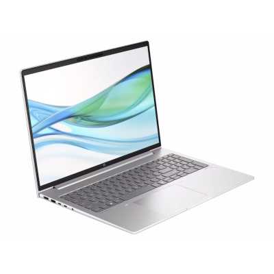 ноутбук HP ProBook 465 G11 901H4AV
