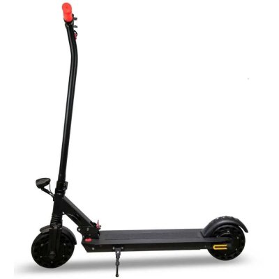 IconBIT Kick Scooter Street DUO TRS2024