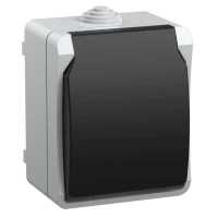 розетка силовая IEK Форс ERS12-K03-16-54-DC