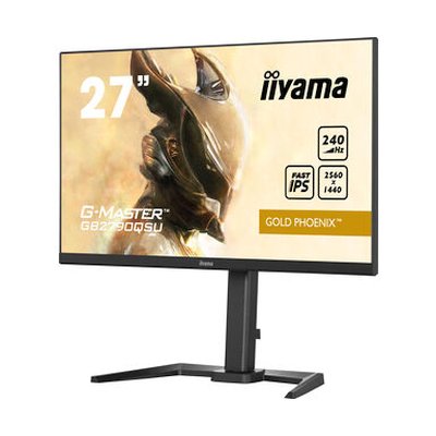 монитор Iiyama G-Master Gold Phoenix GB2790QSU-B5