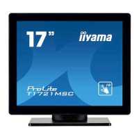 монитор Iiyama ProLite T1721MSC-B1