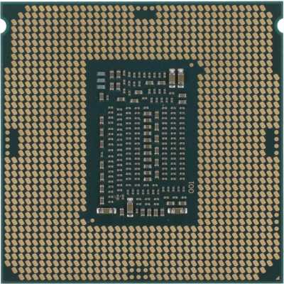 Intel Xeon E-2244G OEM