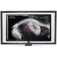Smart Board SBID-L450