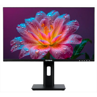 монитор Irbis SmartView ISM24FIDRVesa