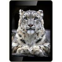 планшет Irbis TX12