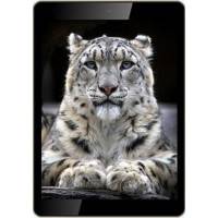 планшет Irbis TX57