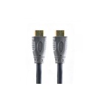 Belsis BGL1141