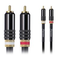 Pioneer DAS-RCA020R