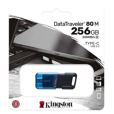 флешка Kingston 256GB DT80M/256GB
