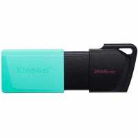 флешка Kingston 256GB DTXM/256GB