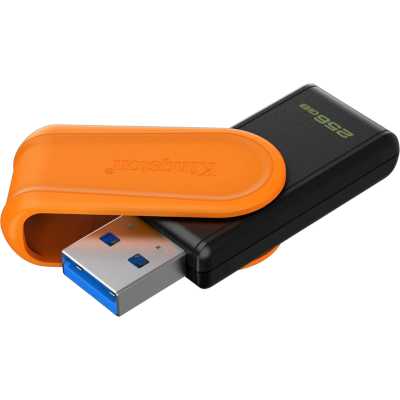 флешка Kingston 256GB DTXS/256GB