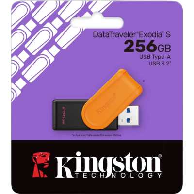 флешка Kingston 256GB DTXS/256GB