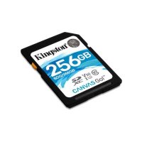 Kingston 256GB SDG-256GB