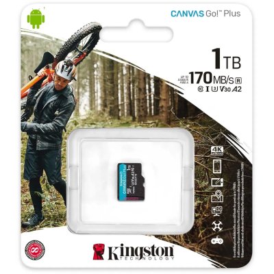 карта памяти Kingston Canvas Go! Plus 1TB SDCG3/1TBSP